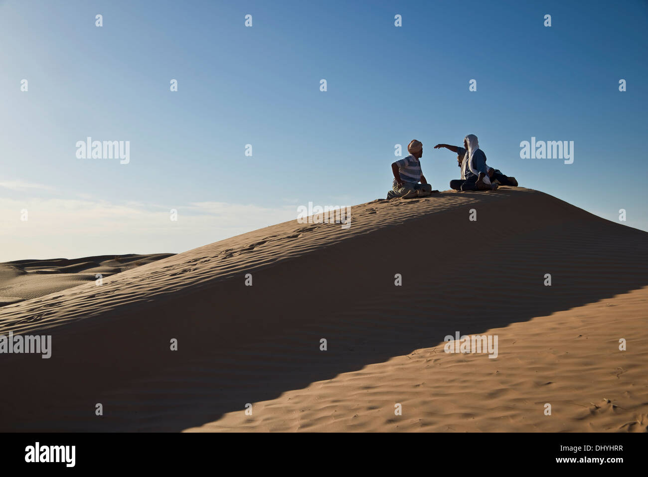 Chameliers assis sur le haut d'une dune de sable - grand erg oriental, Tunisie, Sahara Banque D'Images
