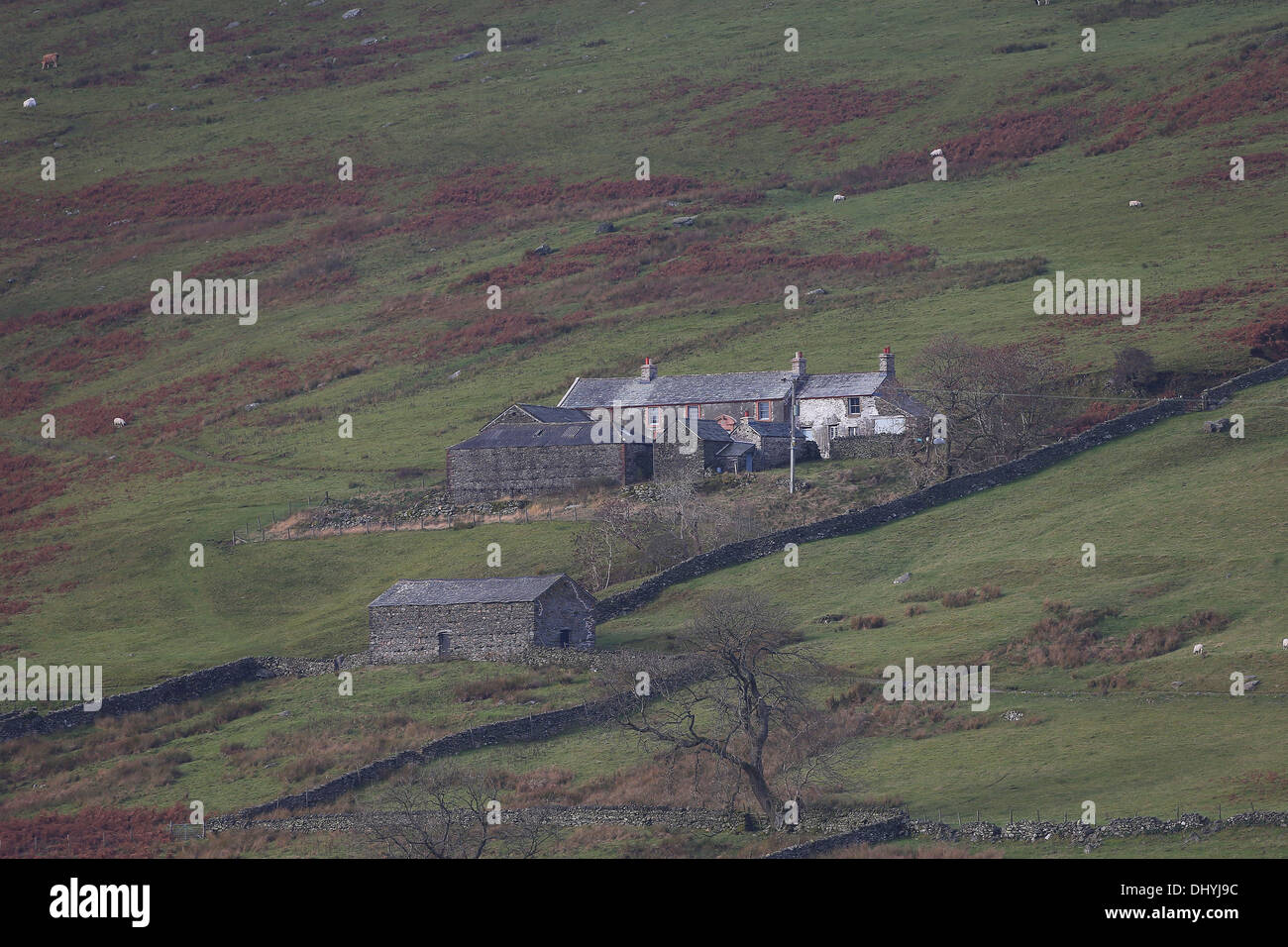 Sleddale Hall ferme dans la région de Cumbria. Photo par James Boardman Banque D'Images