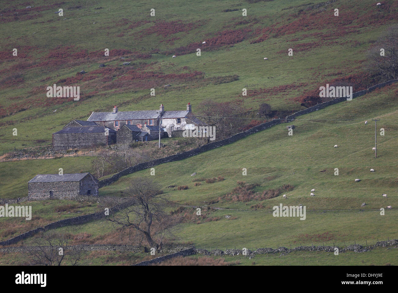 Sleddale Hall ferme dans la région de Cumbria. Photo par James Boardman Banque D'Images