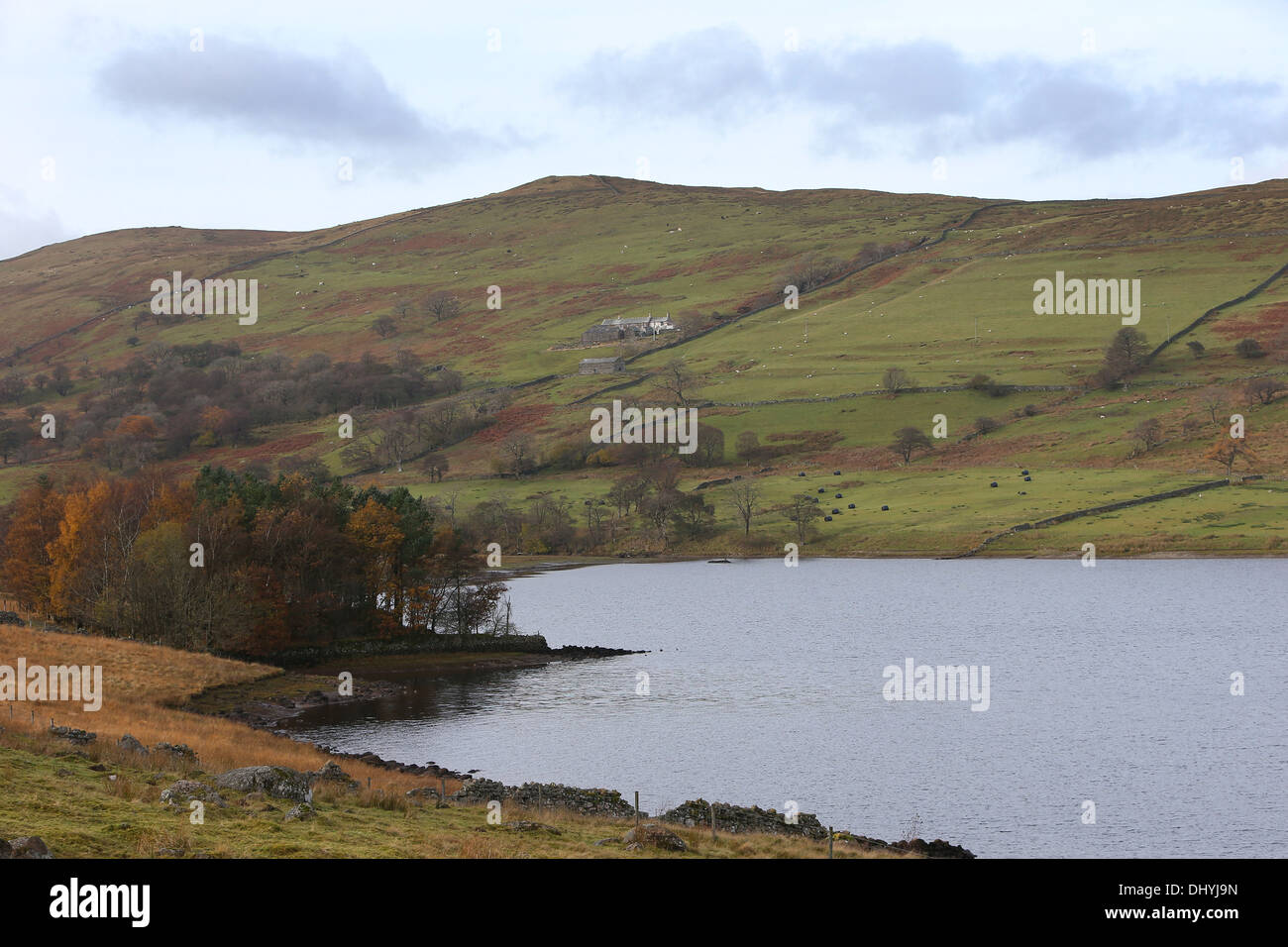 Sleddale Hall ferme dans la région de Cumbria. Photo par James Boardman Banque D'Images