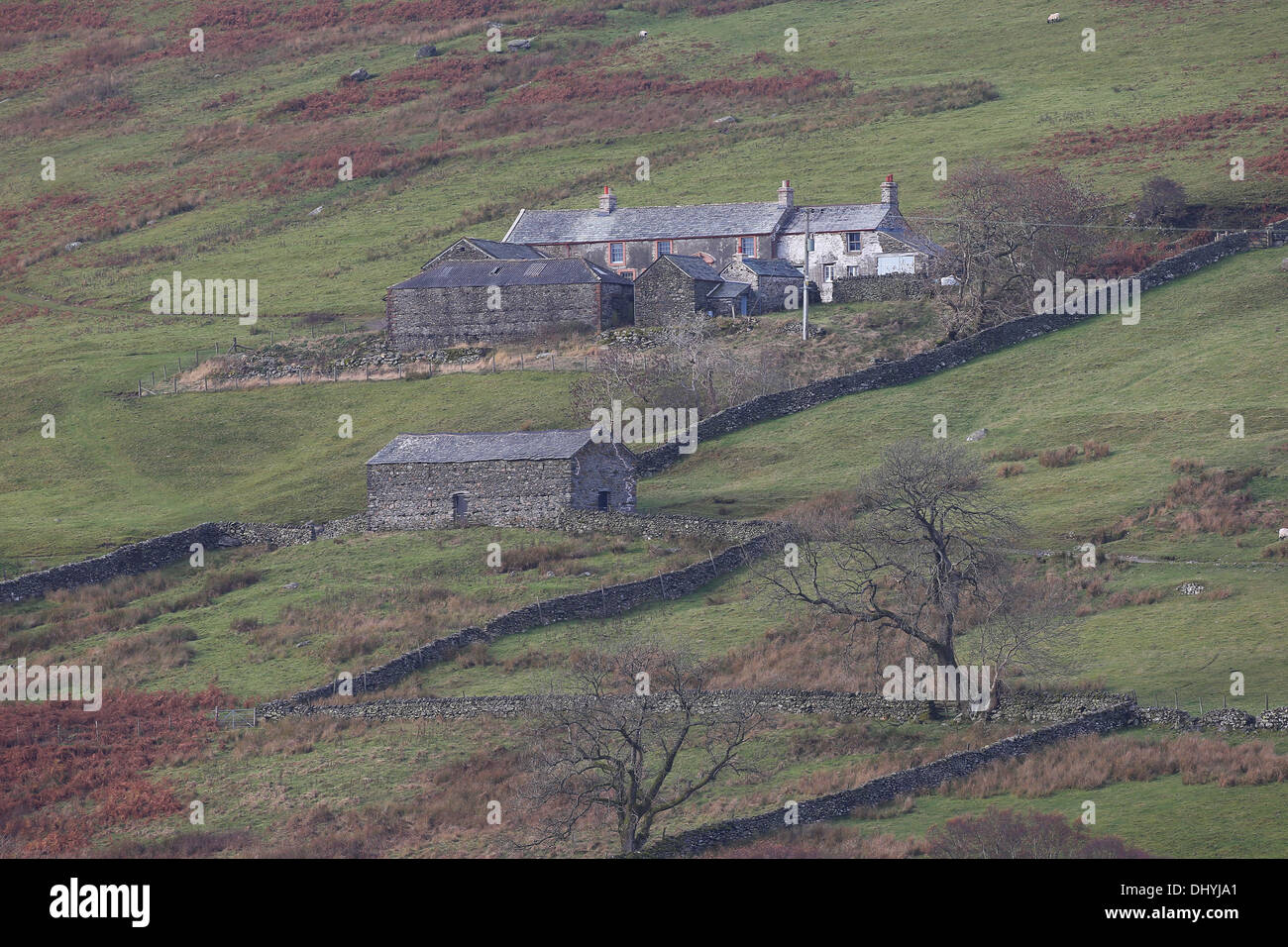 Sleddale Hall ferme dans la région de Cumbria. Photo par James Boardman Banque D'Images