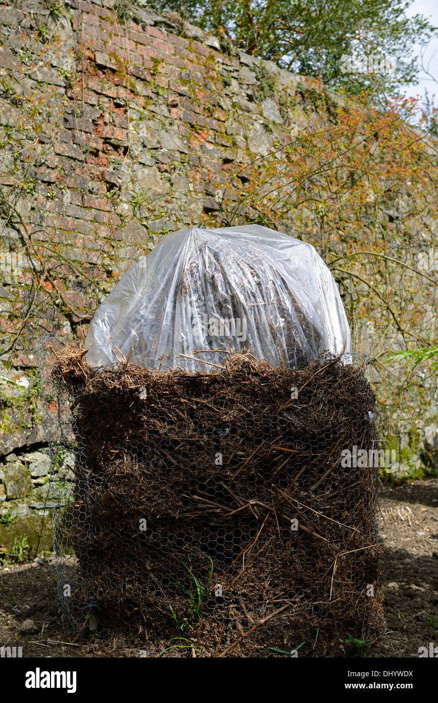 Musa basjoo couverture d'hiver couverts protéger les aires protégées tropicales tendre moitié exotiques bananier rustique paille enveloppée enveloppement fleece Banque D'Images