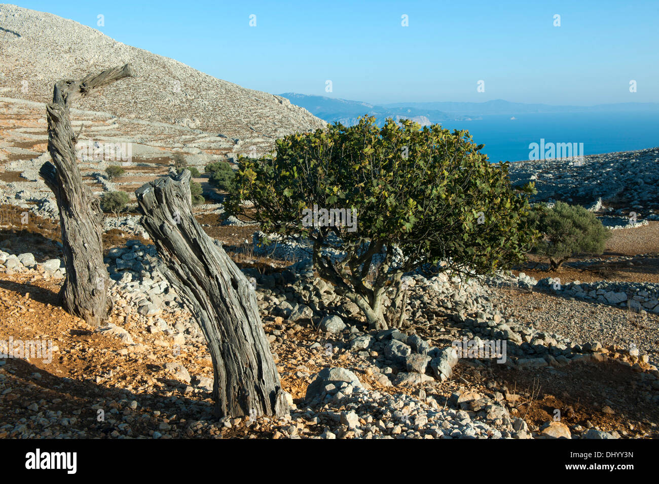 Spanien, Dodécanèse, Insel Chalki, Blick vom Kloster Agios Ioannis Okoda zur Insel Rhodos Banque D'Images