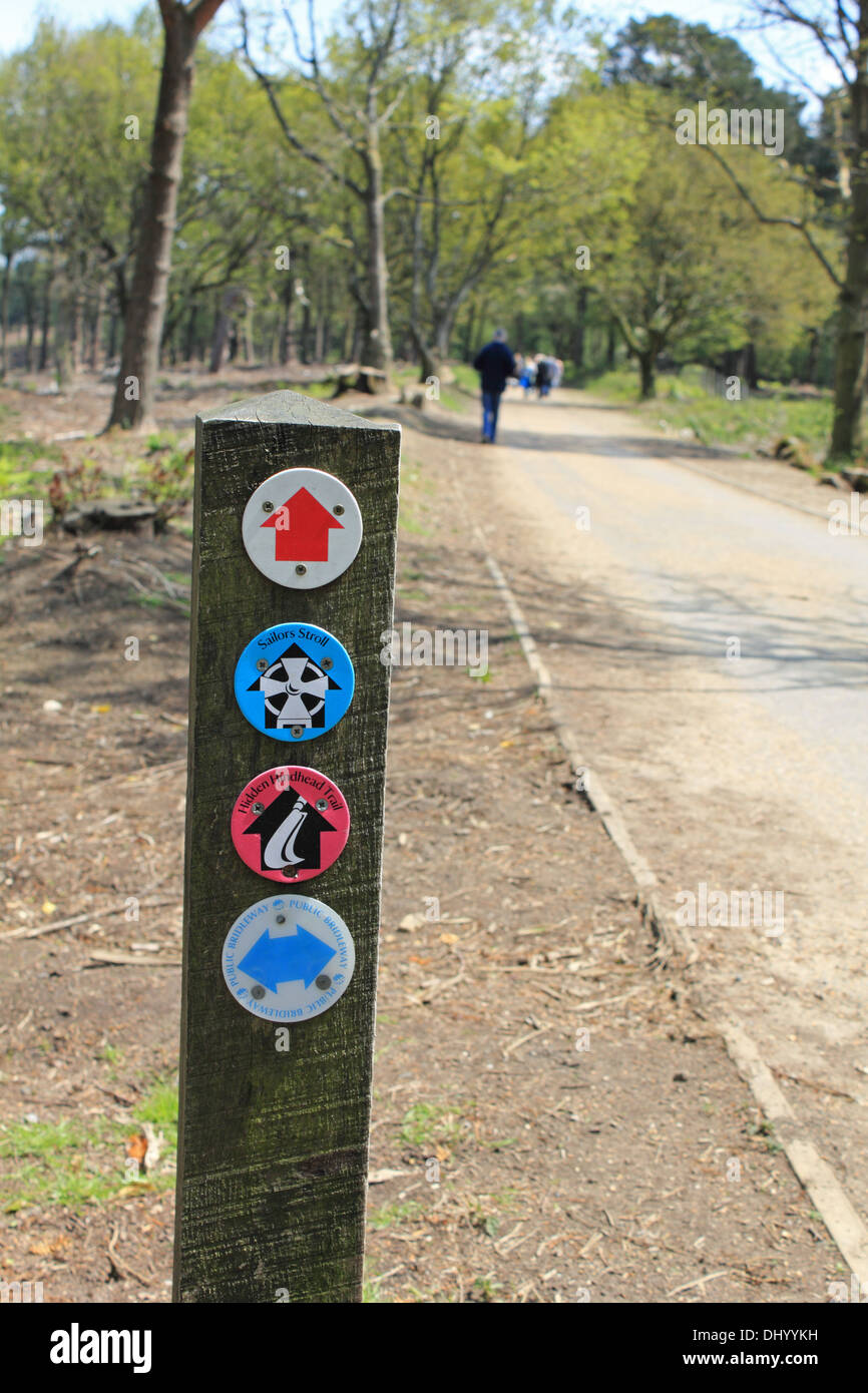 Walking route sign post marker Hindhead Surrey England UK Banque D'Images