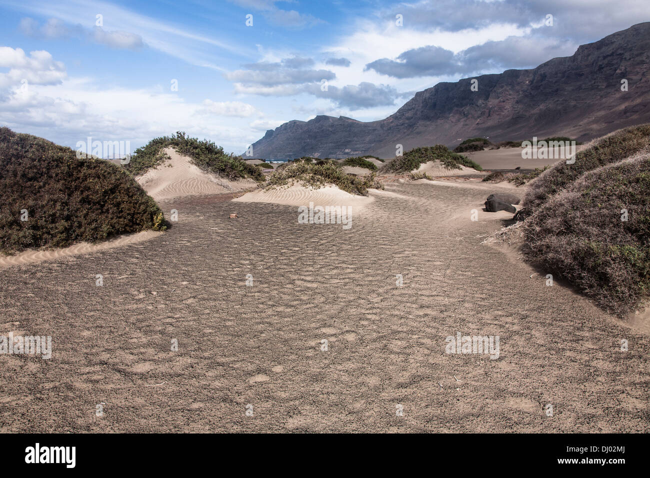 Se cacher dans les dunes de sable de la plage de Famara Banque D'Images