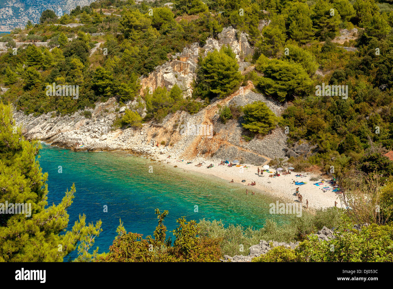 Vaja bay et plage près de Vela Luka sur l'île de Korcula, Croatie Banque D'Images