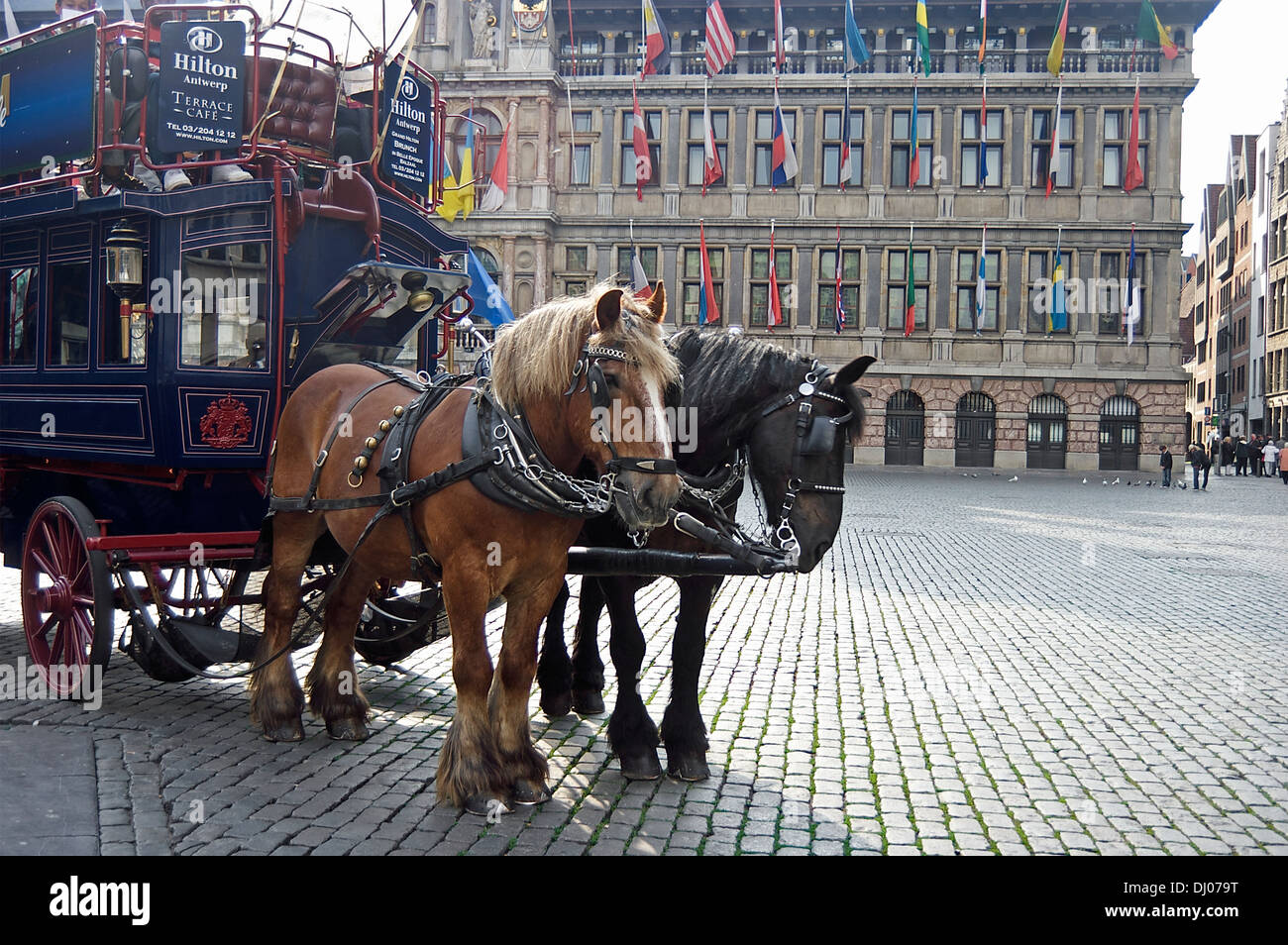 Des chevaux de trait dans le centre historique d'Anvers, en attente d'amener les touristes sur une visite guidée. Banque D'Images
