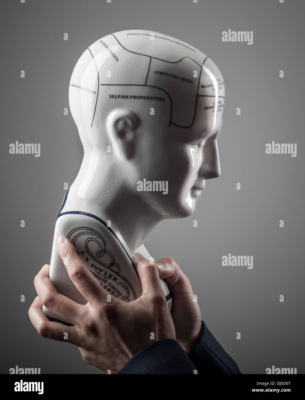 Phrenological tête dans les mains sur un arrière-plan gris Banque D'Images