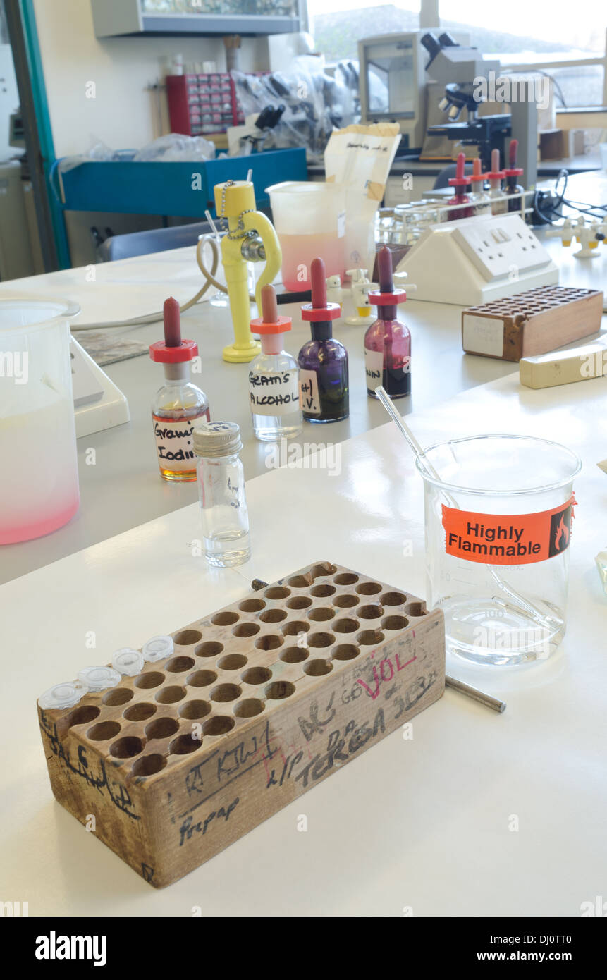 L'autoclave de microbiologie de l'équipement stérile pour la culture cellulaire avec des bactéries en biologie science laboratory Banque D'Images