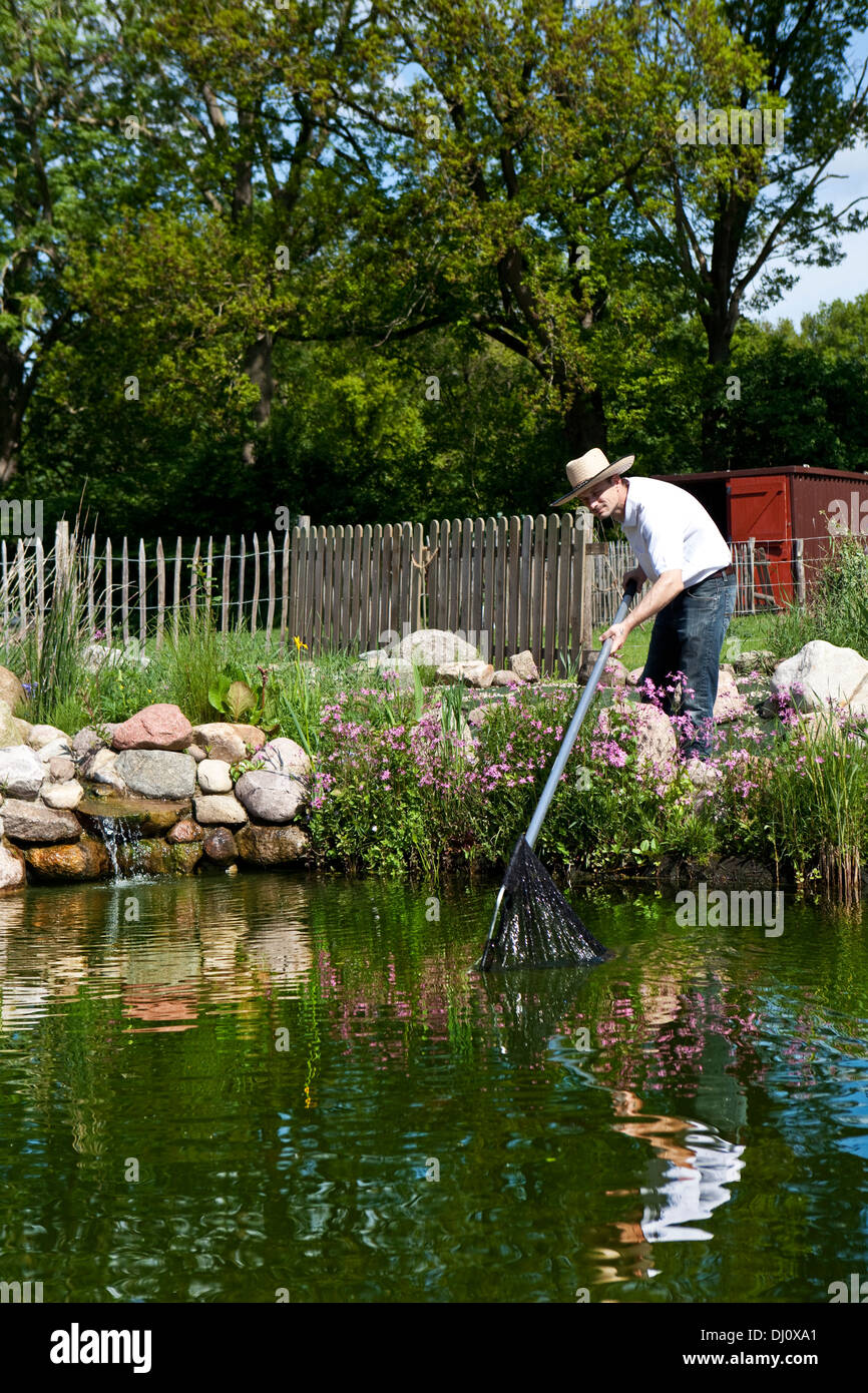 L'homme poissons en étang de jardin avec une épuisette, une cascade en pierre et le pâturage des clôtures dans l'arrière-plan Banque D'Images