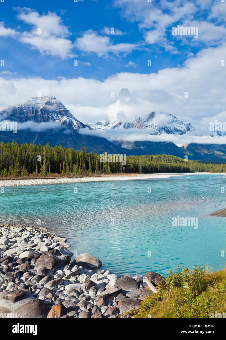 La rivière Athabasca Parc national Jasper s'écoulant dans Canadian Rockies Alberta Canada Banque D'Images