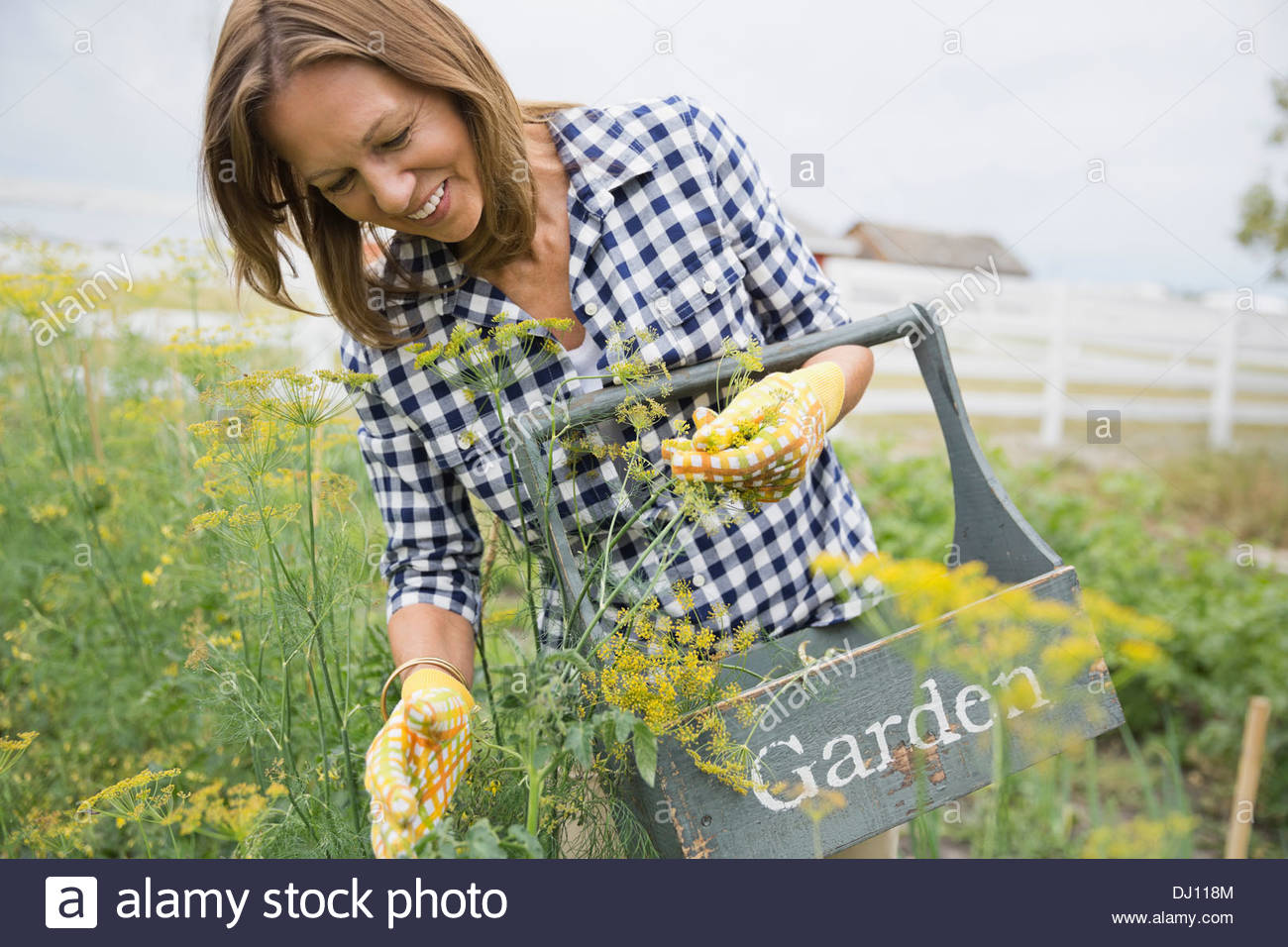 Woman on farm Banque D'Images