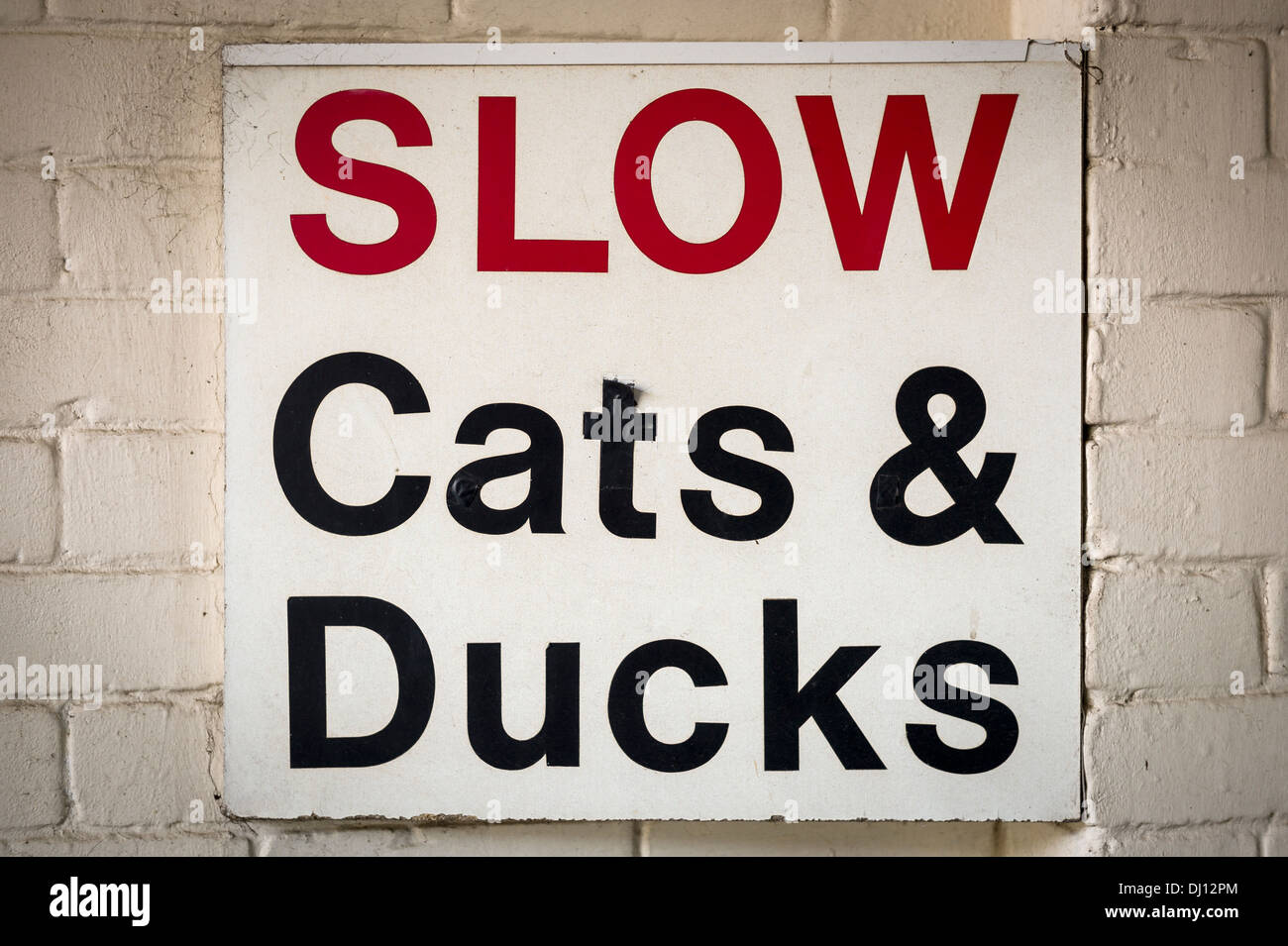 Inscription visiteurs avertissement pour regarder dehors pour les animaux qui errent Banque D'Images