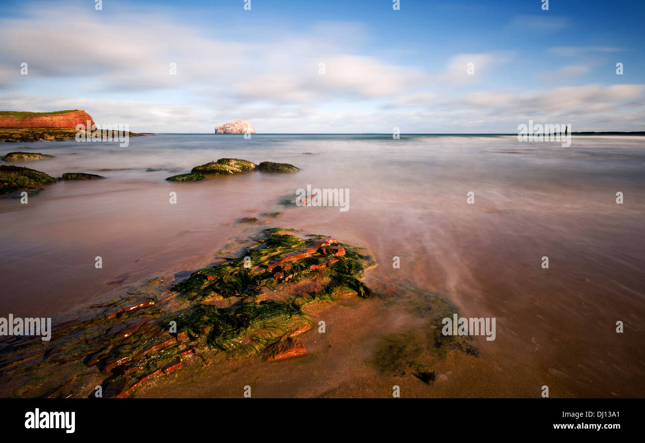 D'Oxroad Rock Bass Bay, East Lothian, Scotland, UK. Banque D'Images