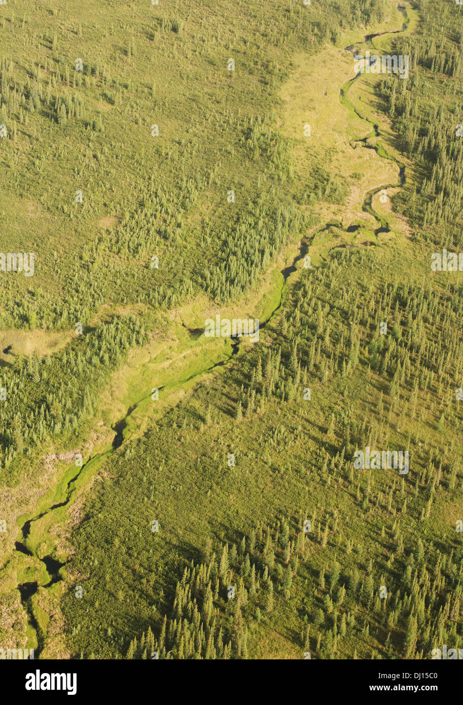 Un petit ruisseau serpente à travers la forêt boréale dans la réserve de parc national Nahanni, Territoires du Nord-Ouest, Canada Banque D'Images