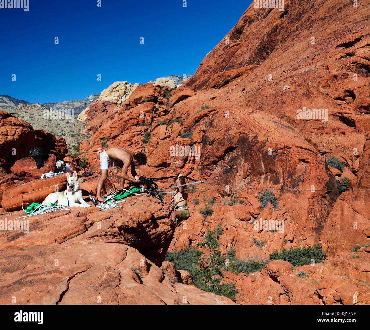 Aventuriers créé highline au Red Rock Canyon National Conservation Area, à environ 20 miles de Las Vegas Banque D'Images