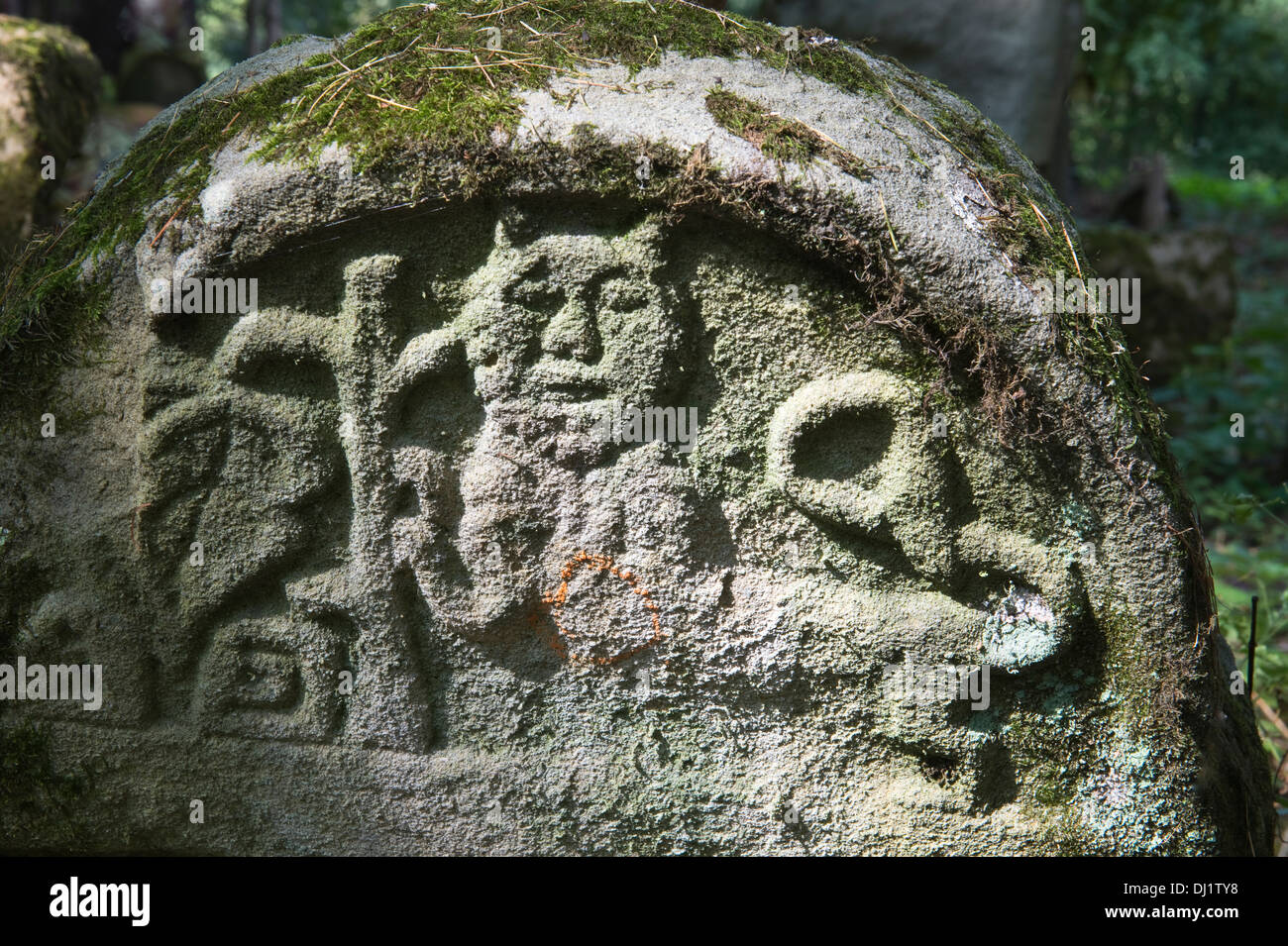 Pierres tombales datant du xvie siècle, l'une des plus anciennes de la Pologne, Kirkut, cimetières juifs Lesko Bieszczady Pologne Banque D'Images