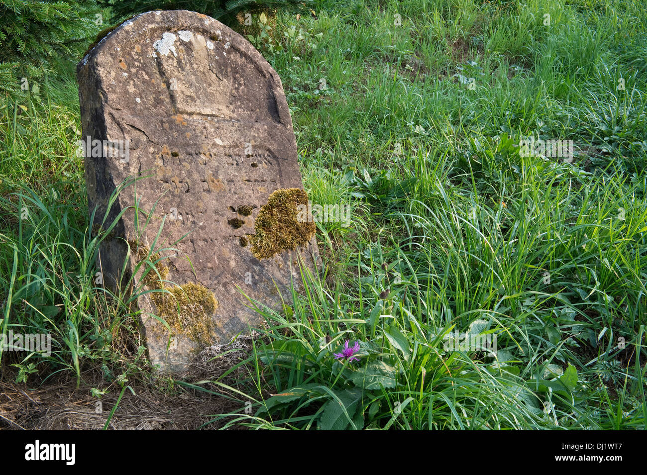 En Pierres tombales, cimetière juif, Kirkut Lutowiska, Bieszczady, dans le sud-est de l'Europe Polanf Banque D'Images