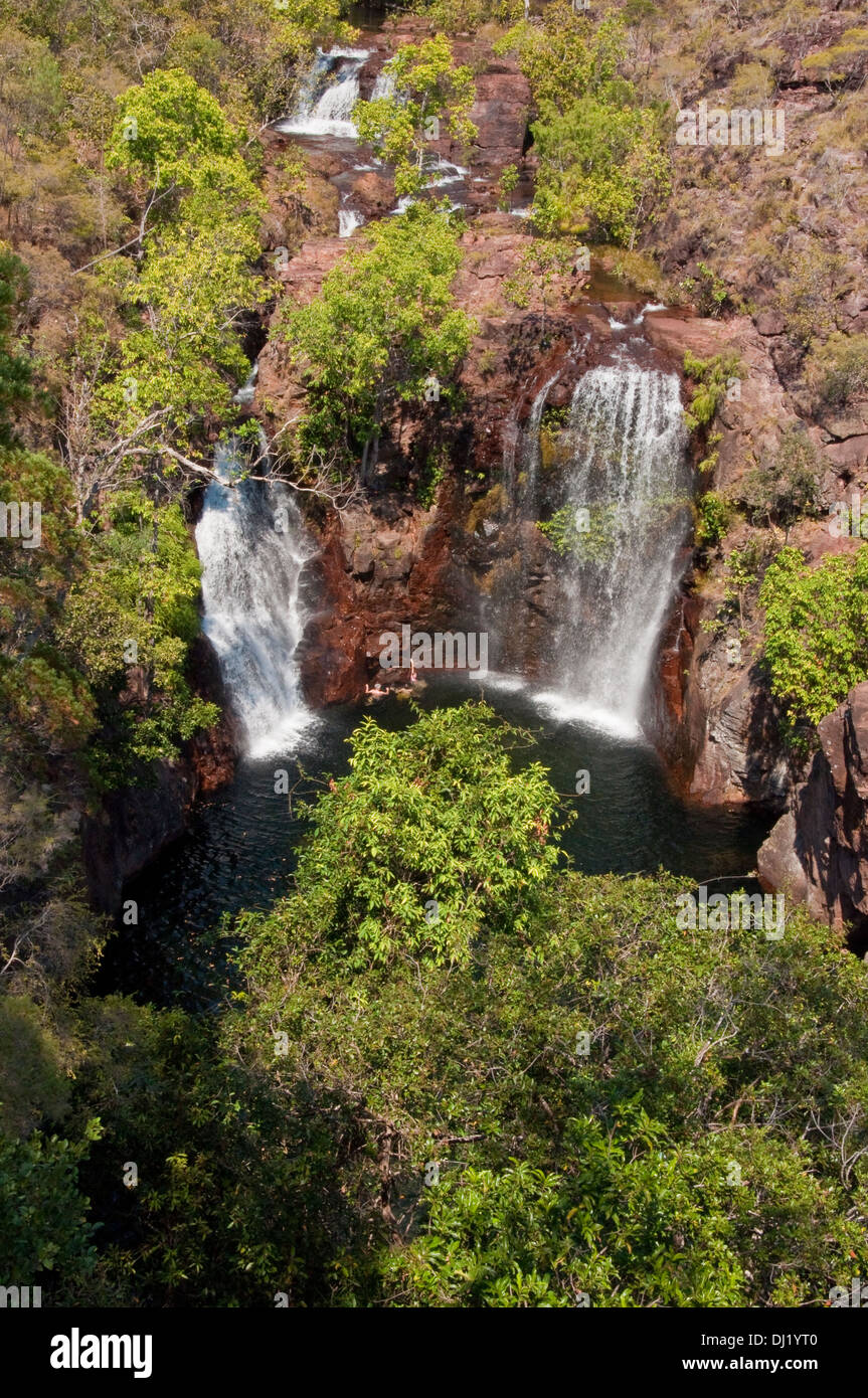 Vue panoramique de la Florence Falls, Australie Banque D'Images