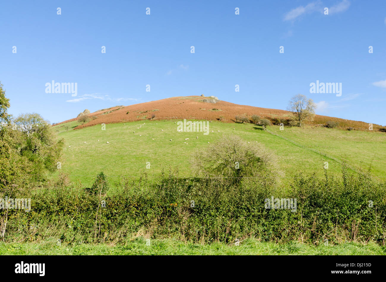 Le Shropshire Hills près de Church Stretton Banque D'Images