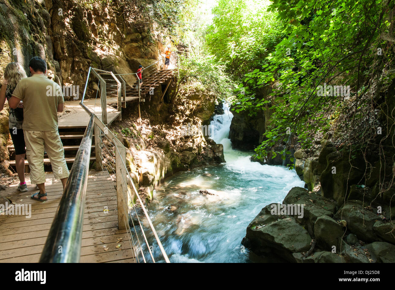 L'Hermon Stream réserve naturelle (Banias) Golan Israël Ce volet est l'une des sources du Jourdain Banque D'Images