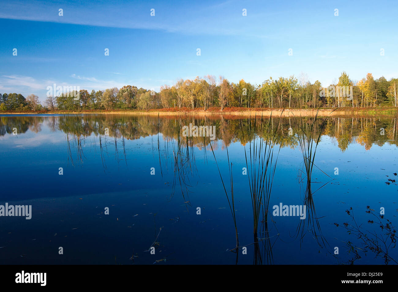 Paysage d'un lac à l'automne. Banque D'Images