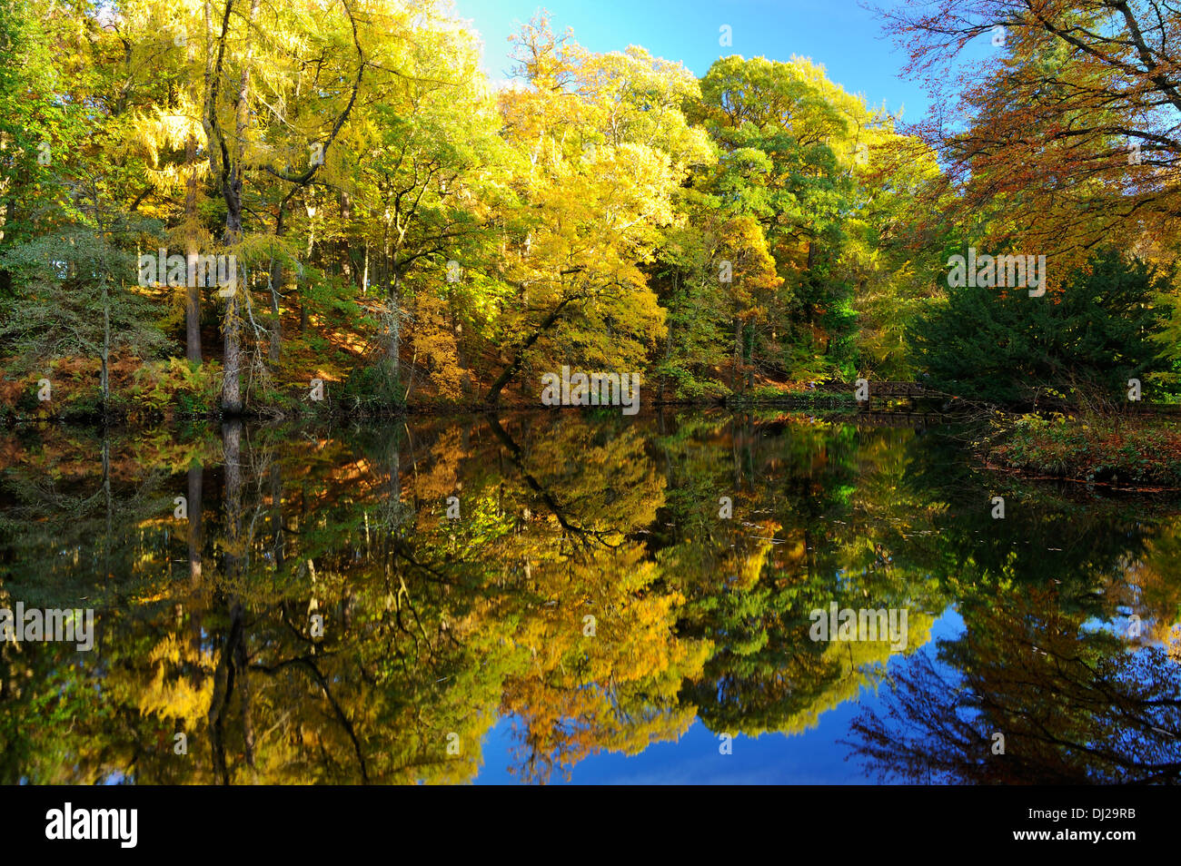 Réflexions d'automne dans le lac artificiel - Domaine du Château de Crathes, Aberdeenshire, Scotland Banque D'Images