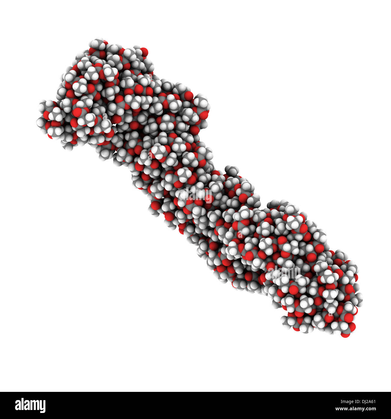 L'acide polylactique (PLA polylactide), bioplastique, structure chimique. Compostable polymère utilisé dans les implants médicaux, conditionnement, ... Banque D'Images