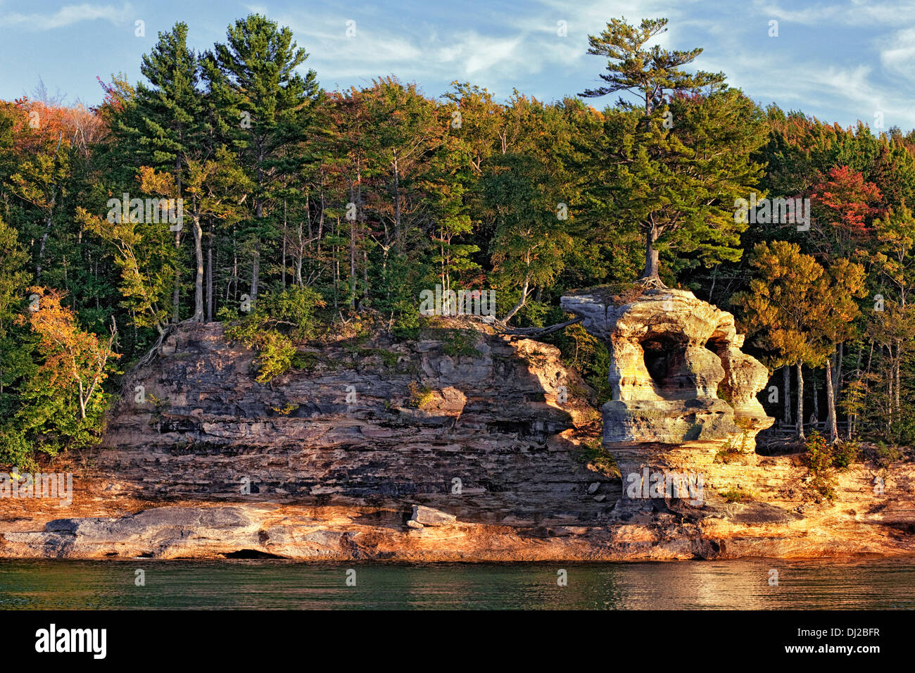 Gros pin se développe au sommet chapelle Rock le long du lac Supérieur dans la région de Pictured Rocks National Lakeshore et de la Péninsule Supérieure du Michigan. Banque D'Images