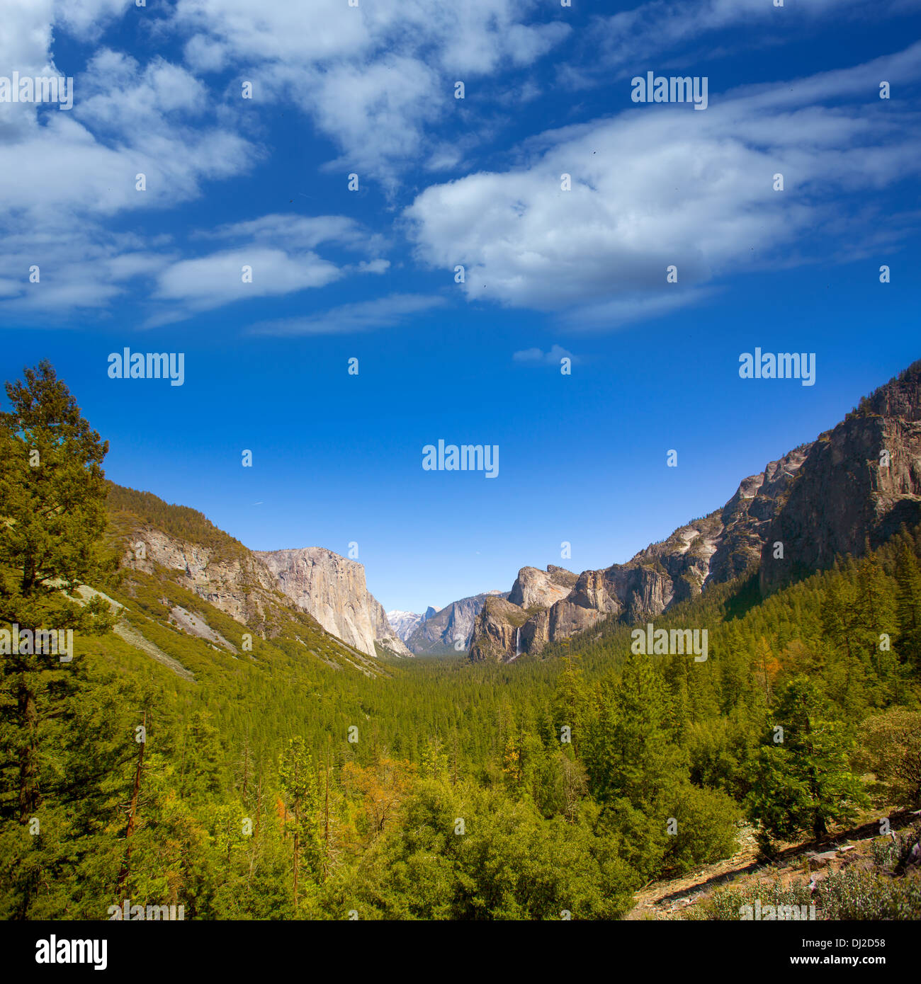 El Capitan Yosemite Half Dome et dans les parcs nationaux de la Californie US Banque D'Images