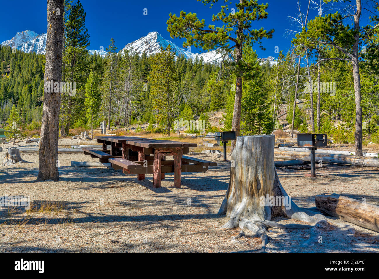 Tables de pique-nique et de barbecues dans la nature Banque D'Images