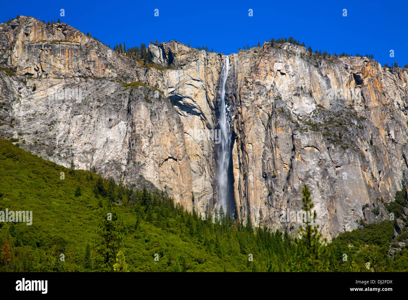 La prêle Yosemite chute d'automne au printemps Californie Parcs Nationaux de l'AU Banque D'Images