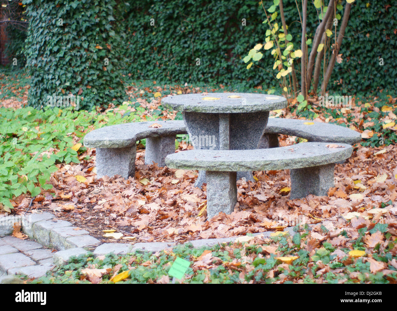 Jardin botanique de Wroclaw en automne Banque D'Images