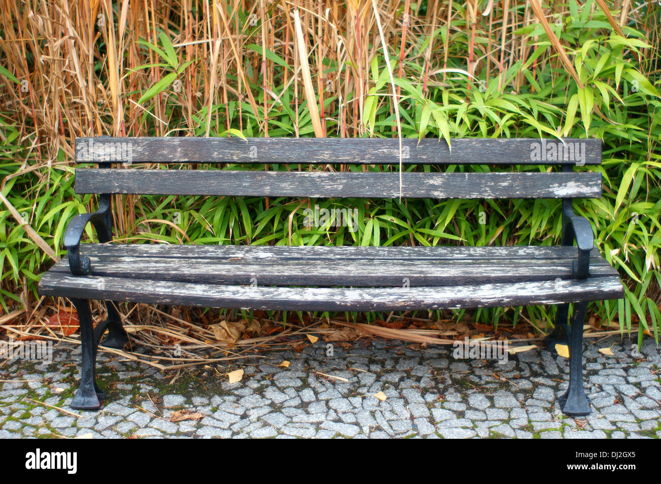 Banc de parc automne solitaire solitude empiness nostalgie nostalgie Banque D'Images