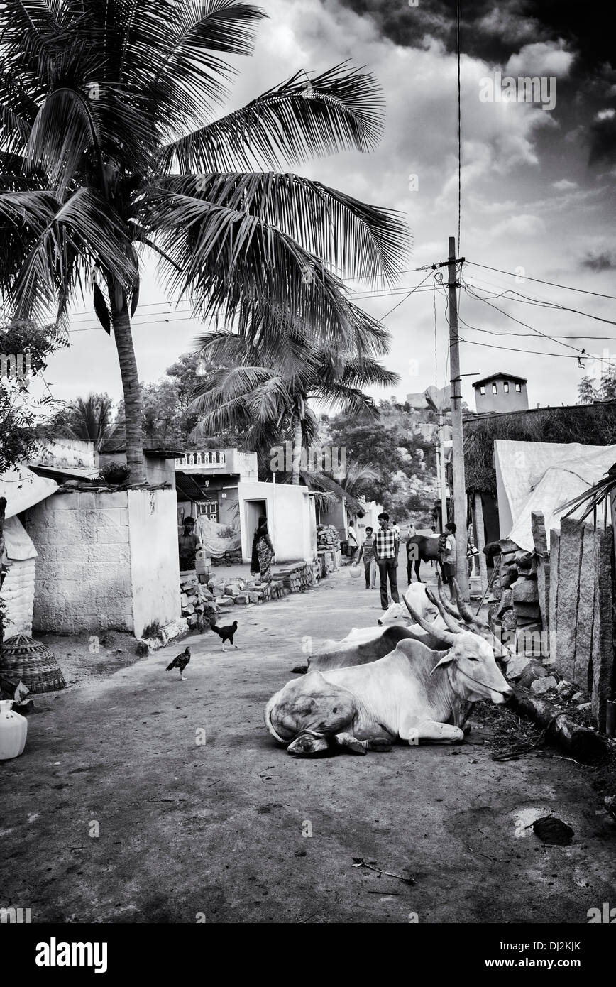 Village du sud de l'Inde rurale. Les gens et la butte de bétail dans la rue. L'Andhra Pradesh, Inde. Noir et blanc. Banque D'Images
