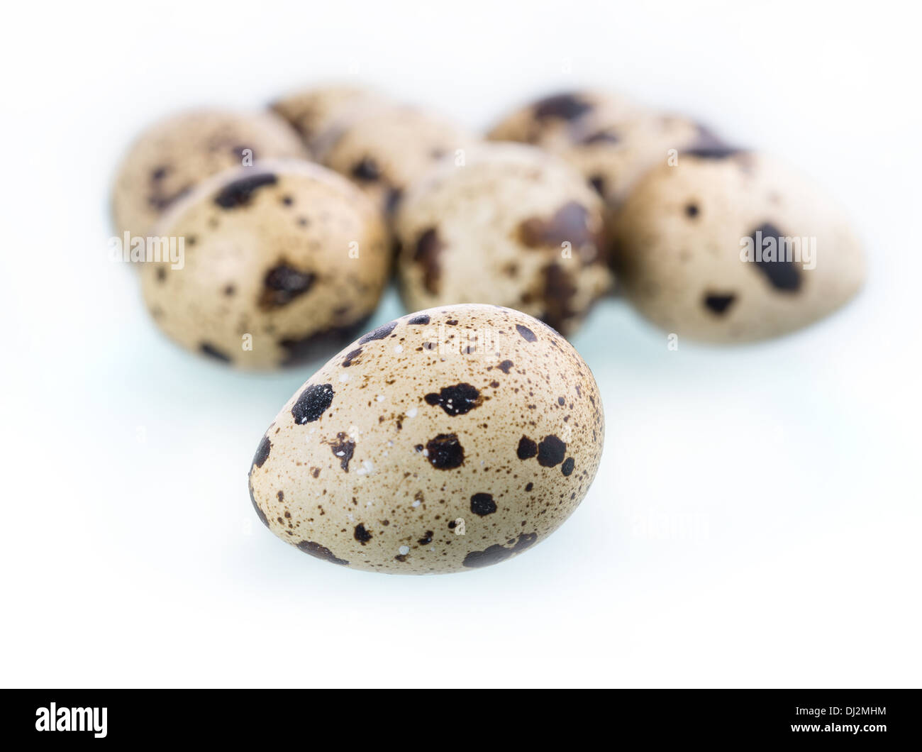 Oeufs de caille Banque D'Images