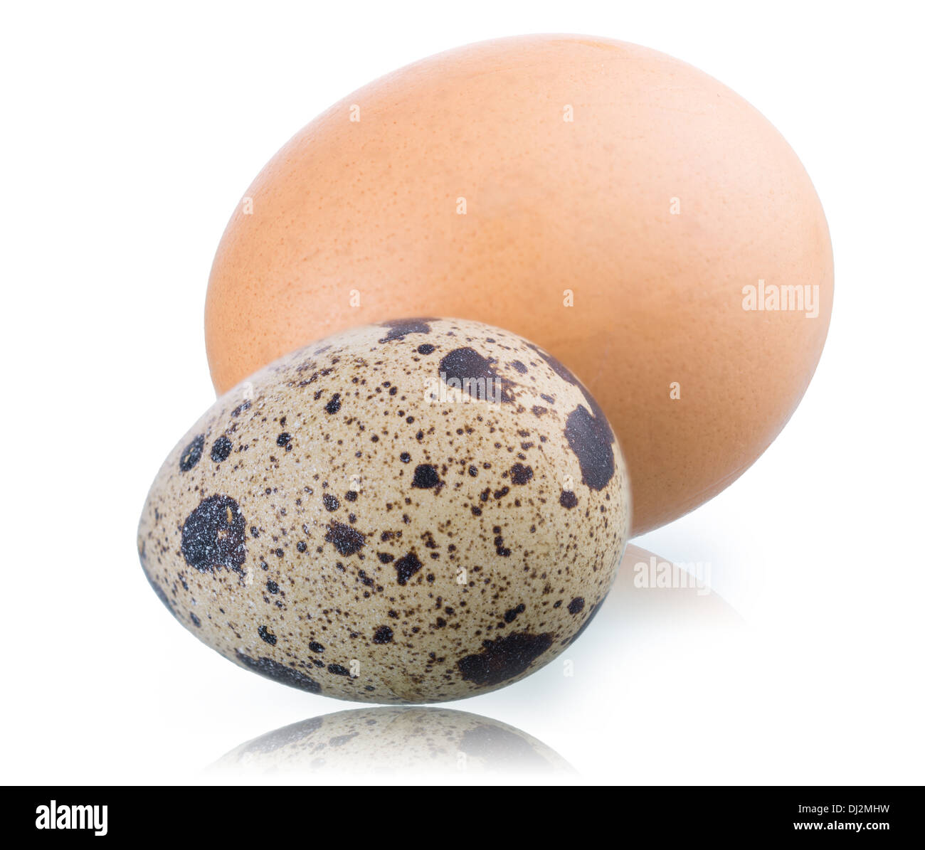 Les œufs, isolé sur le bouchon en verre avec chemins de détourage, quelques images recueillies ensemble pour accroître les domaines d Banque D'Images