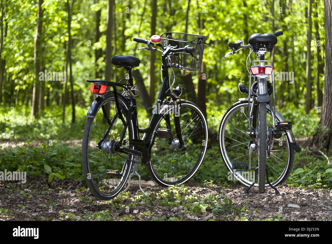 2 vélos dans les bois Banque D'Images