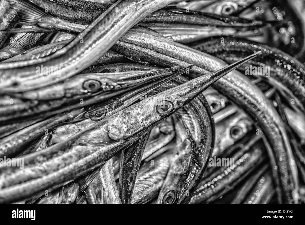Marché de Poissons Poissons et fruits de mer de l'industrie de la pêche à la Sardine Marché Poissons d'eau salée de la mer de la pile dans une rangée d'Artifices directement des animaux et animaux Banque D'Images