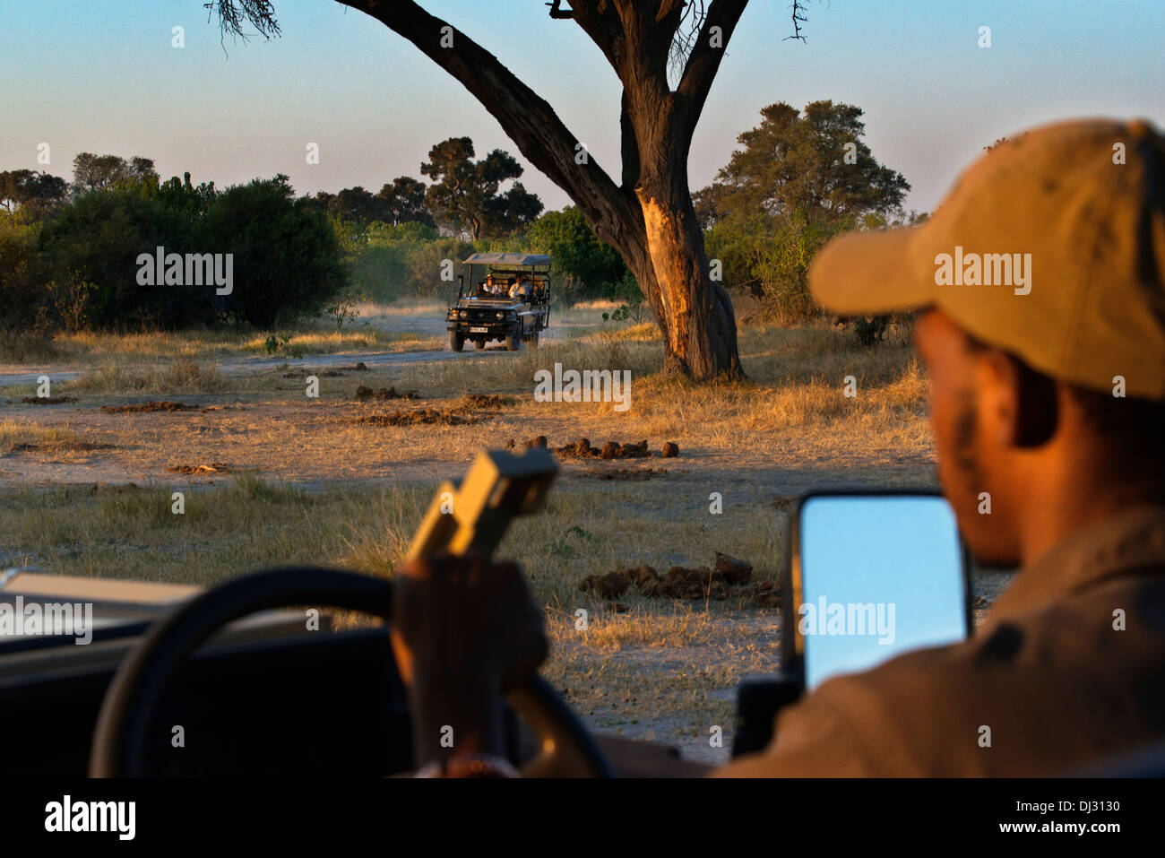 L'un des guides de la 4x4 safaris où sont menées dans le Delta de l'Okavango camp près de Khwai River Lodge by Orient Express. Banque D'Images