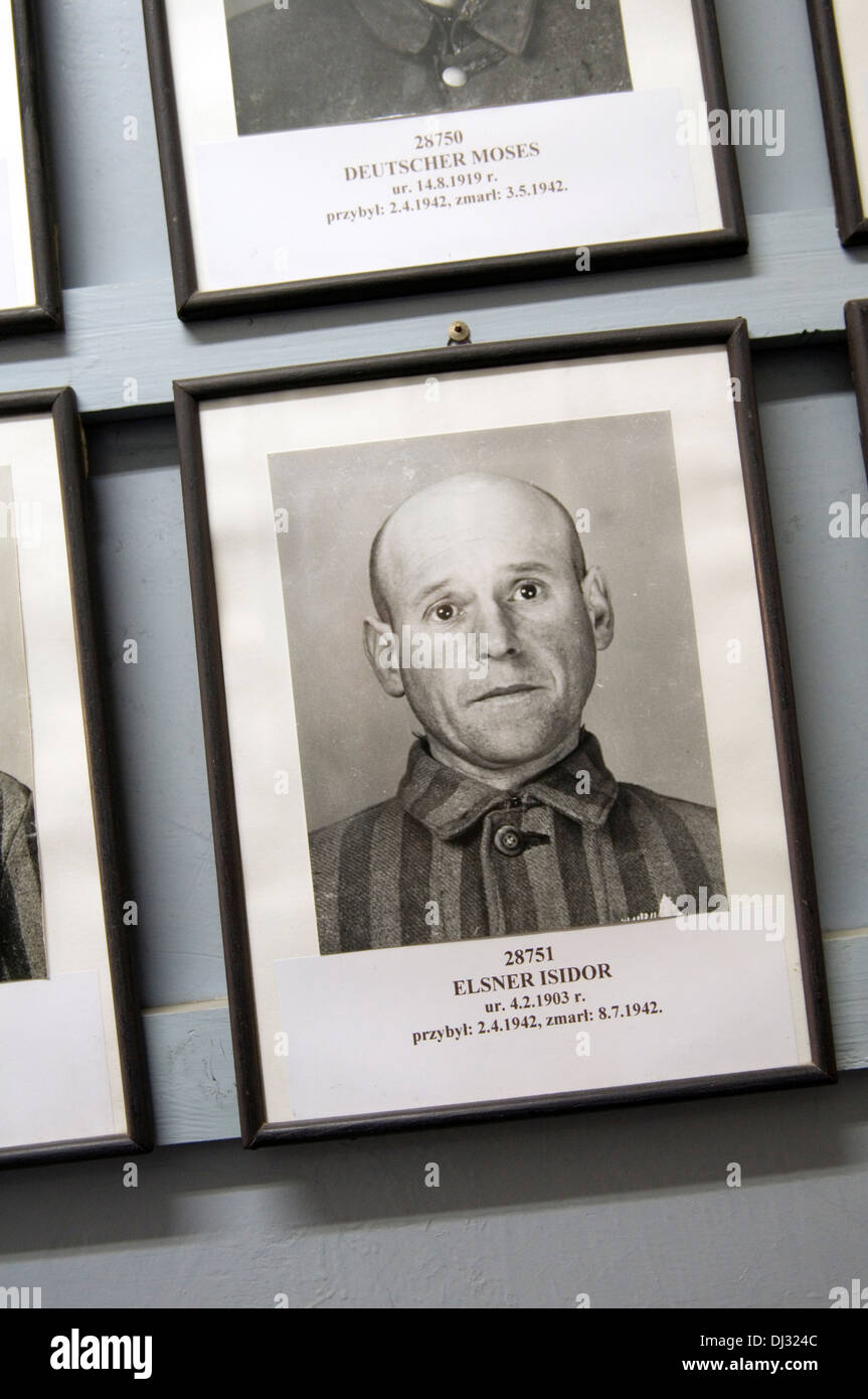 Portrait d'Auschwitz-Birkenau Auschwitz Birkenau prisonnier détenu juif polonais morts décédés de mort death camp photographie editorial Banque D'Images