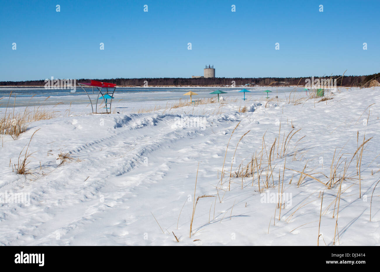 Plage gelée neige hiver ensoleillé jour personne skyline 'herbe' ciel bleu mer blanc Banque D'Images