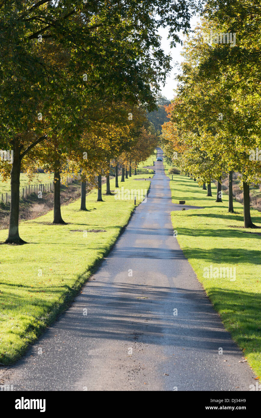 La route menant à Batsford Arboretum près de Moreton in Marsh, les Cotswolds UK Banque D'Images