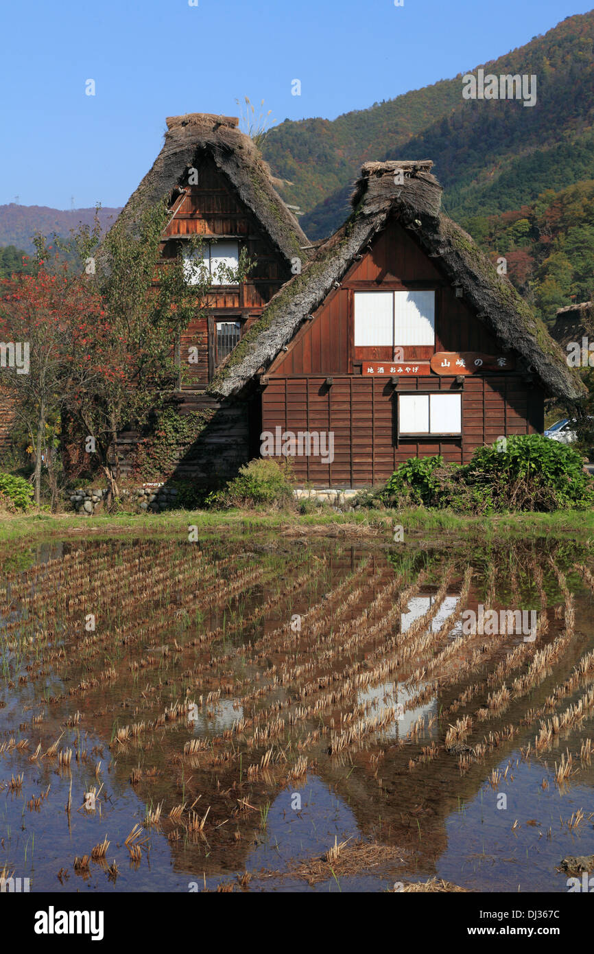 Le Japon, Hida, Shirakawa-go, Ogimachi, Gassho-zukuri, maisons traditionnelles, Banque D'Images