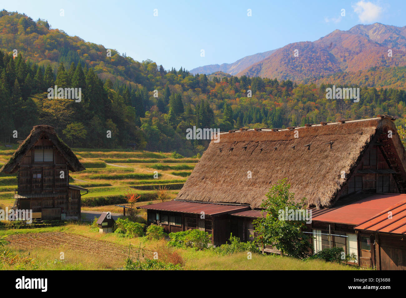 Le Japon, Hida, Shirakawa-go, Ogimachi, village, rizières, maisons traditionnelles, Banque D'Images