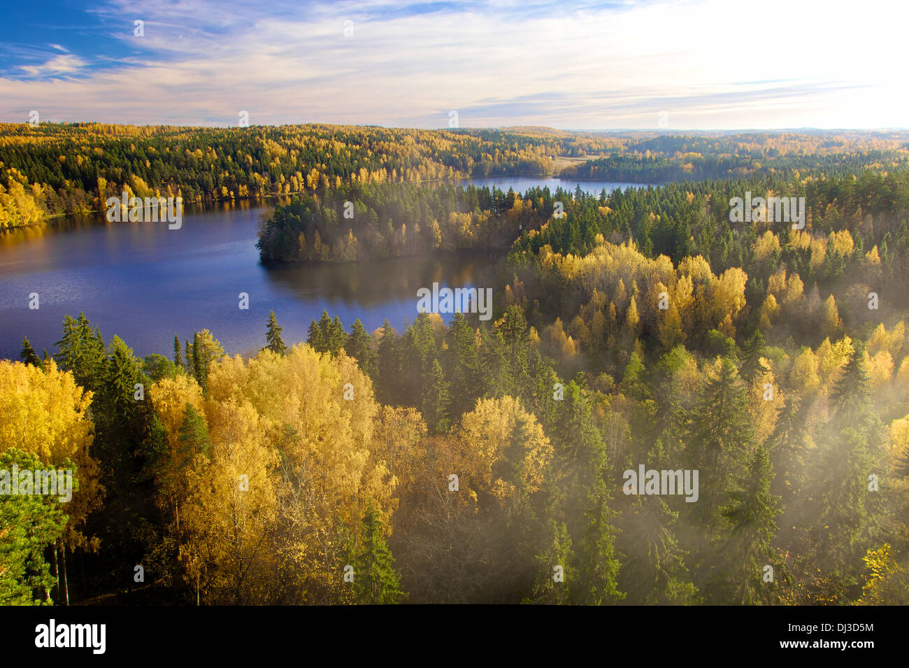 La vapeur au-dessus de la forêt sur un automne précoce matin à Aulanko zone de protection de la nature en Finlande. Banque D'Images La vapeur au-dessus de la forêt sur un automne précoce matin à Aulanko zone de protection de la nature en Finlande. Banque D'Images
