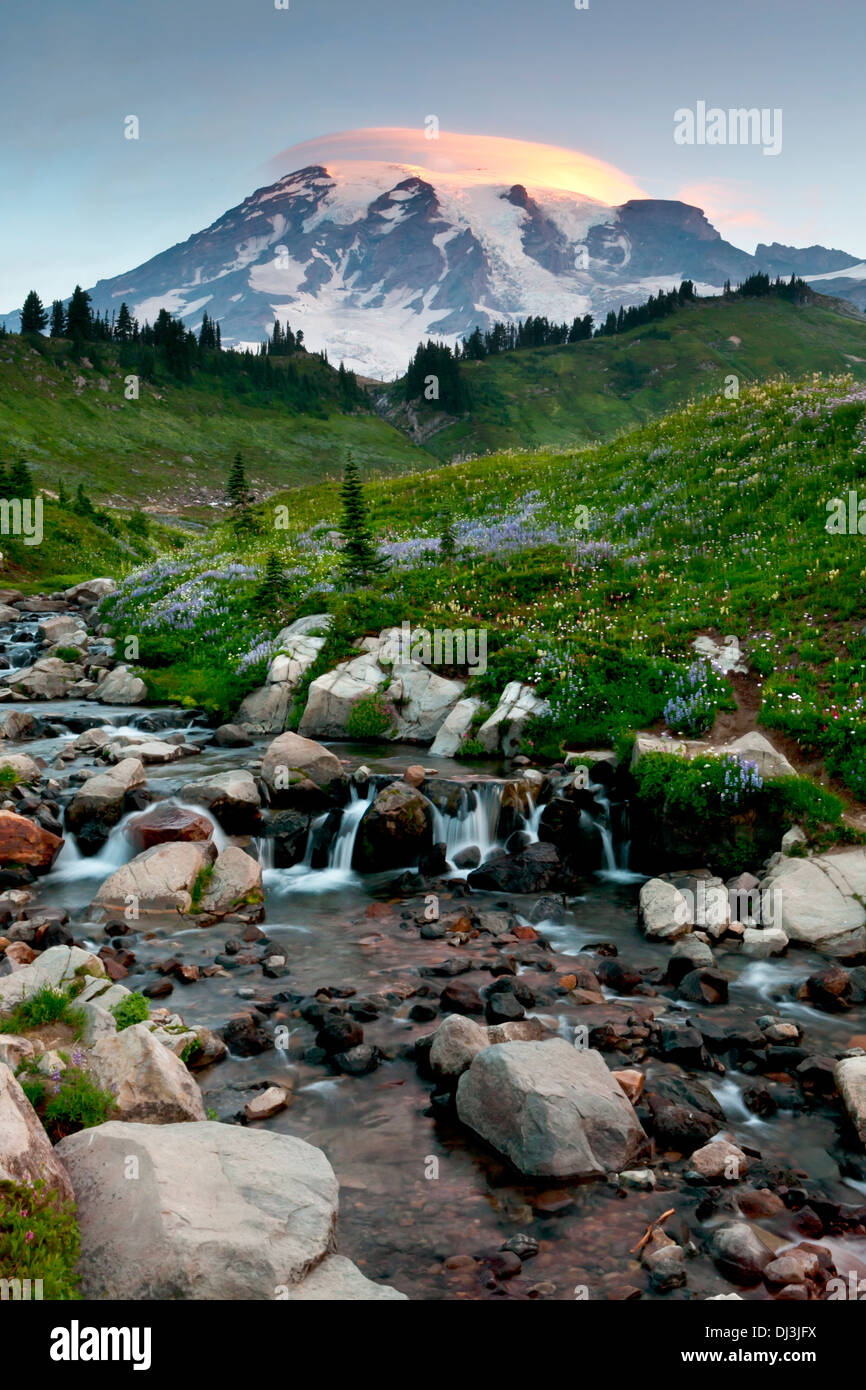 Le mont Rainier au-dessus du ruisseau Edith avec un nuage lenticulaire au-dessus, le Mont Rainier National Park, Washington. Banque D'Images