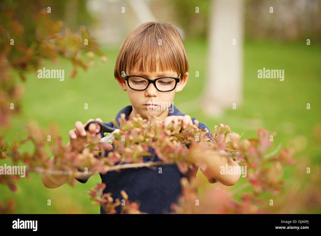 Petit garçon à l'extérieur, sur fond d'herbe jardinage Banque D'Images