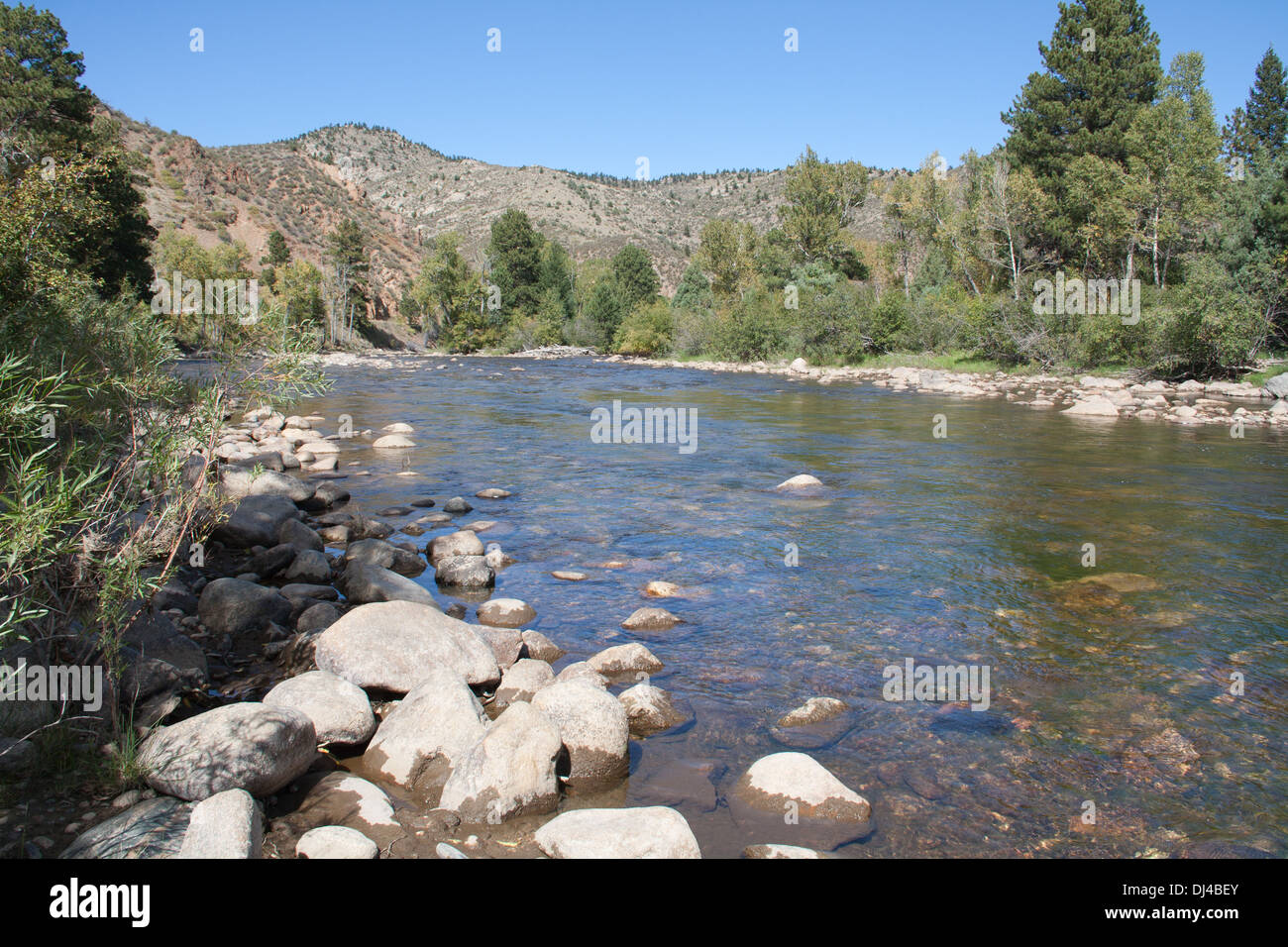 Powder River dans les montagnes Rocheuses, le Colorado USA Banque D'Images