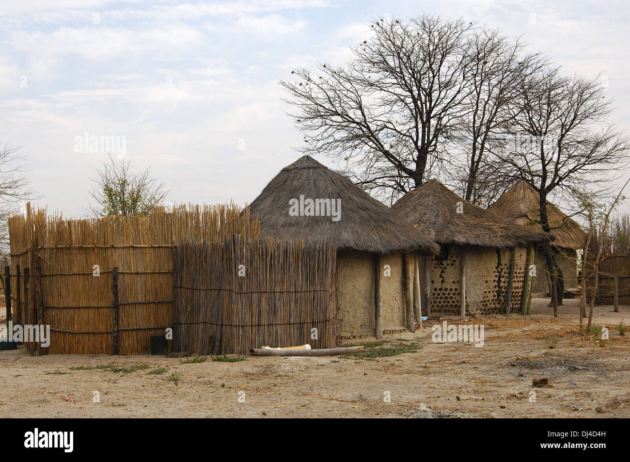 Le Botswana, kraal traditionnel africain Banque D'Images